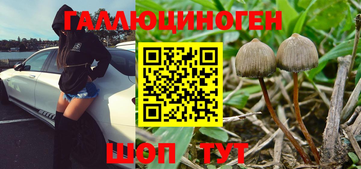 Псилоцибиновые грибы ЛСД  Вход с VPN  Мариинск 